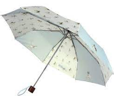 Wrendale Umbrella - You can't make a rainbow without a little rain and this gorgeous Bee umbrella will keep you dry whilst looking stylish. This umbrella is a lovely Wrendale green colour with contrasting piping around the trim and neatly folds into a patterned sleeve. Finished with a laser engraved logo and silver wren coloured charm on the handle makes it extra special and a wonderful gift. Made from 100% recycled polyester with a maple wood handle. Plastic free packaging. When closed the umbrella measures 24...