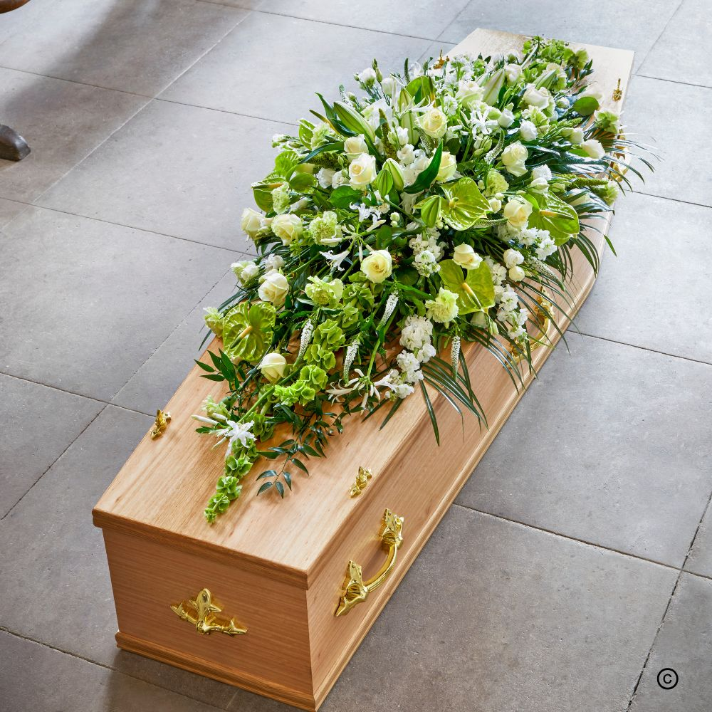 Coffin Spray - Oasis P24 Product Image