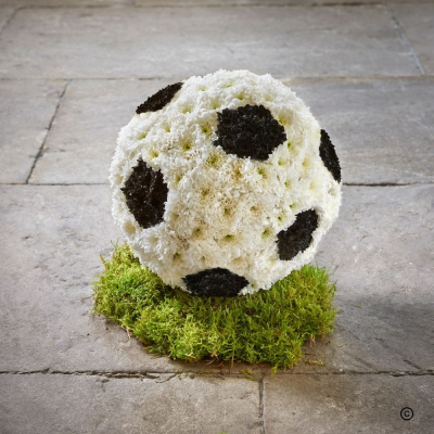 3d Football - As a final gift for football players and fans, a 3D football will score.  The football is on a moss base and can be tailored to reflect a particular team or club.