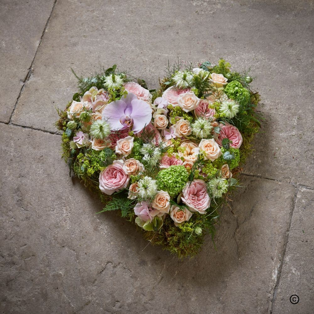 Pastel heart Product Image