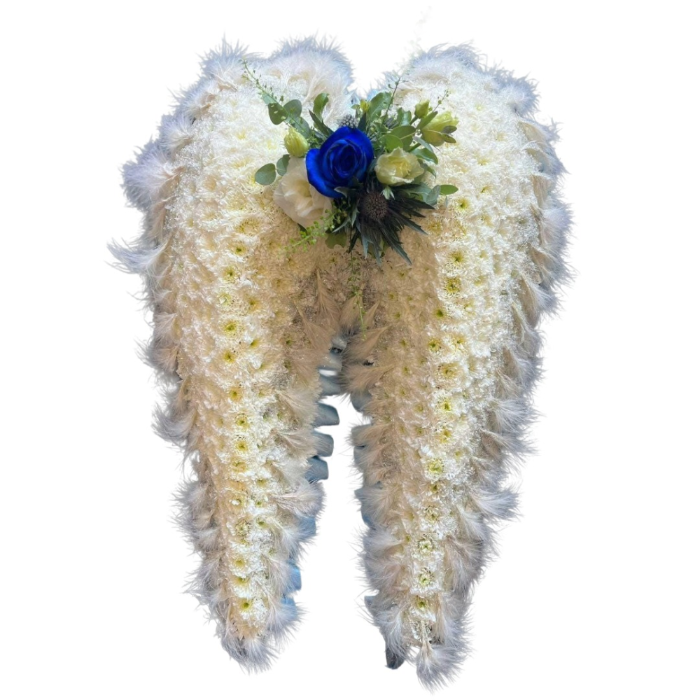 Angel Wings Product Image