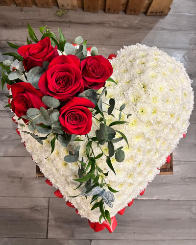 Everlasting Love - A classic heart funeral tribute in white and rich red tones with elegant trailing greenery, handcrafted by Daisy Chain Florist in Scunthorpe.
