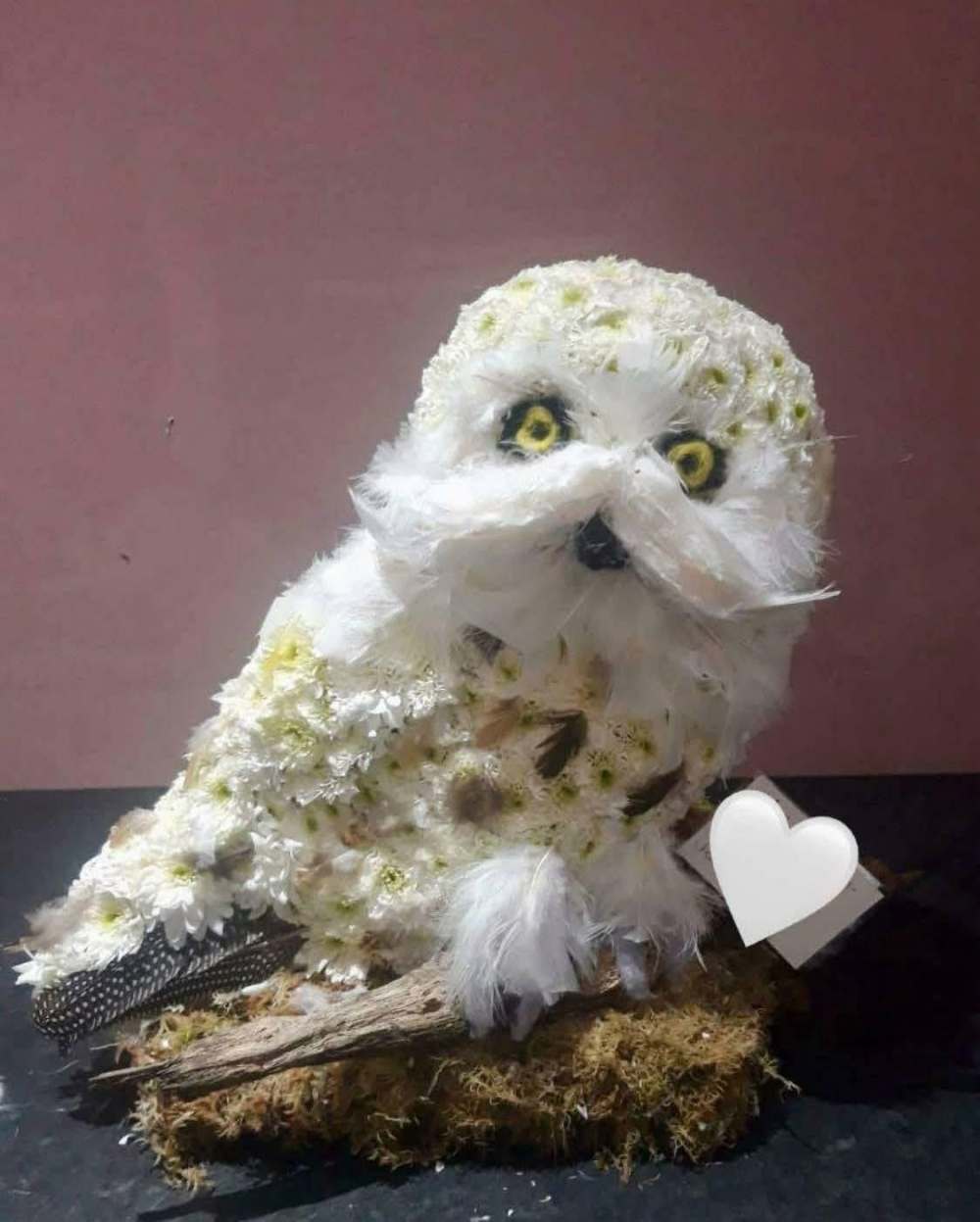Owl Tribute Product Image