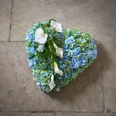 Blue Heart funeral tribute hydrangea sympathy son dad grandad - This dainty heart is made with the gorgeous Varena Blue Classic Hydrangea and finished with a delicate phalaenopsis orchid and a white calla lily.