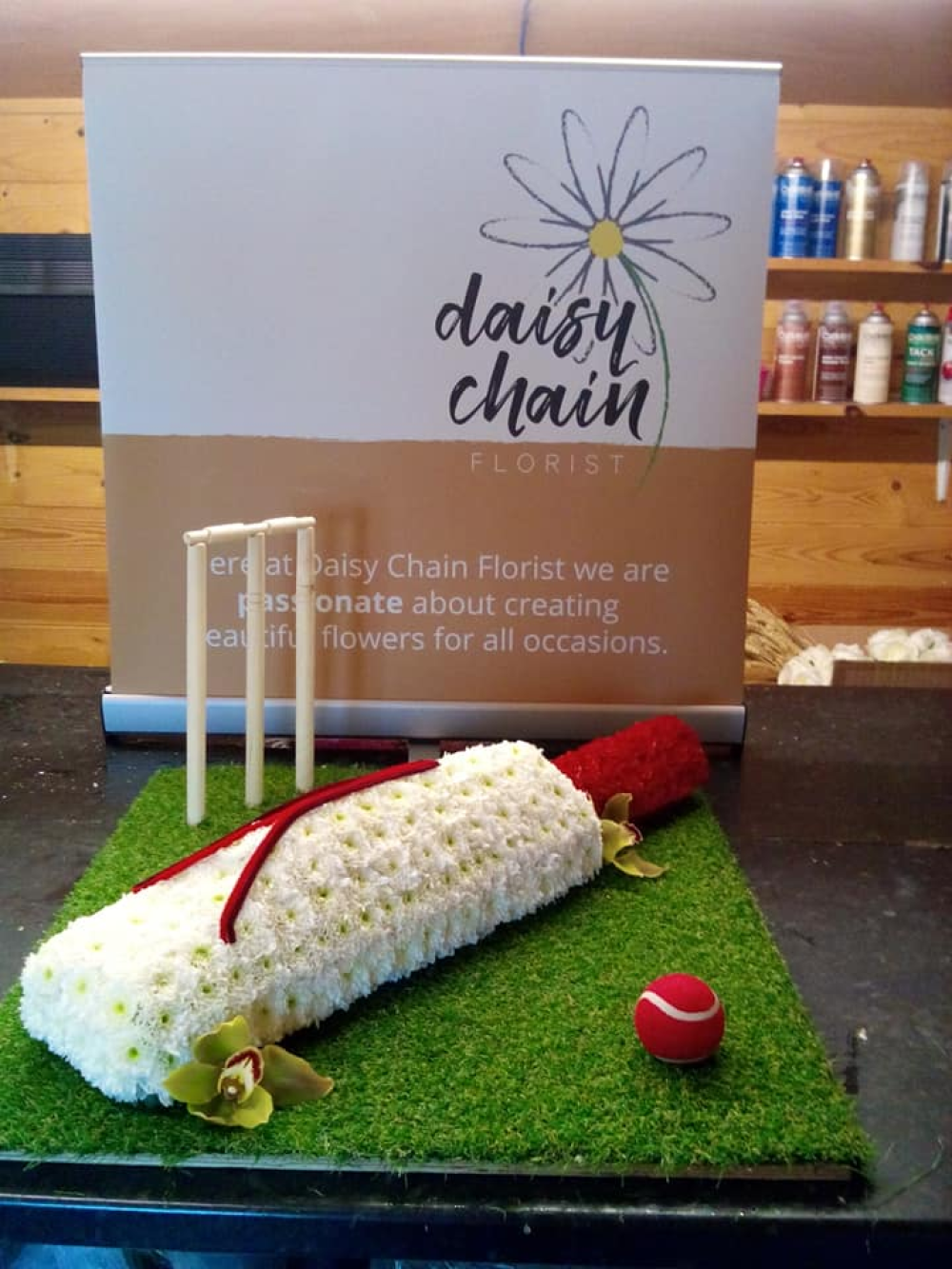 Cricket Bat Product Image