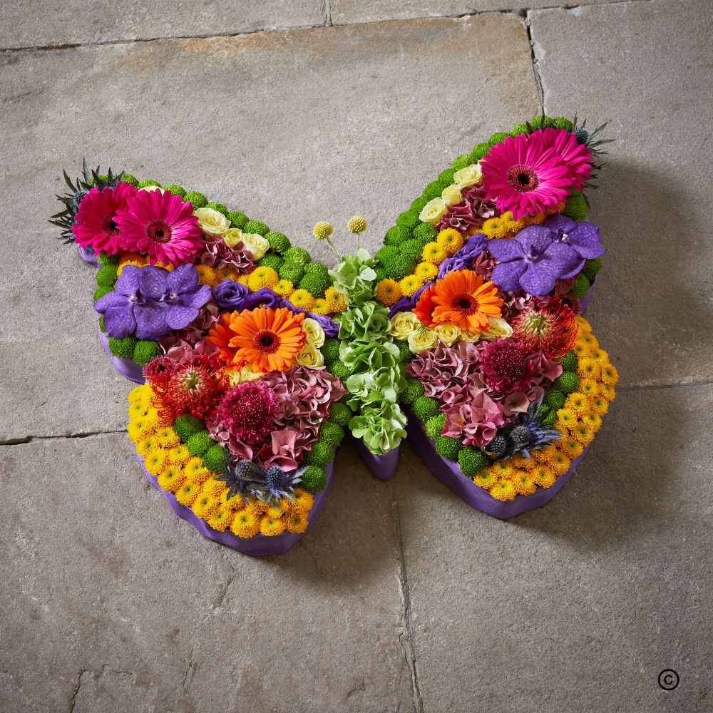 Viberant Butterfly Product Image